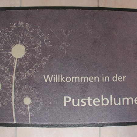 Ferienwohnung Pusteblume Cochem Pokój zdjęcie